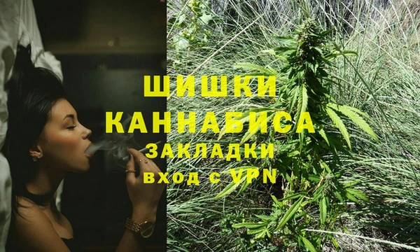 прущие грибы Богородск