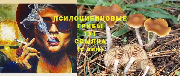 прущие грибы Богородск