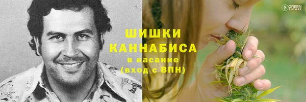 прущие грибы Богородск