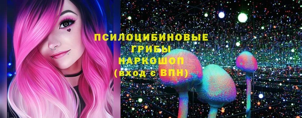 прущие грибы Богородск